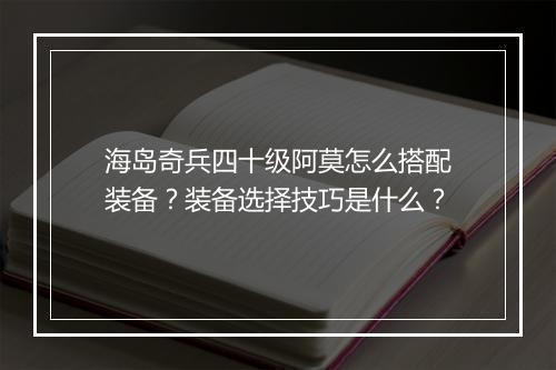 海岛奇兵四十级阿莫怎么搭配装备？装备选择技巧是什么？