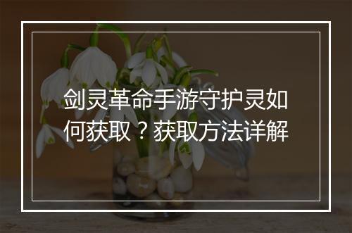 剑灵革命手游守护灵如何获取？获取方法详解