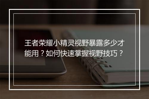 王者荣耀小精灵视野暴露多少才能用？如何快速掌握视野技巧？