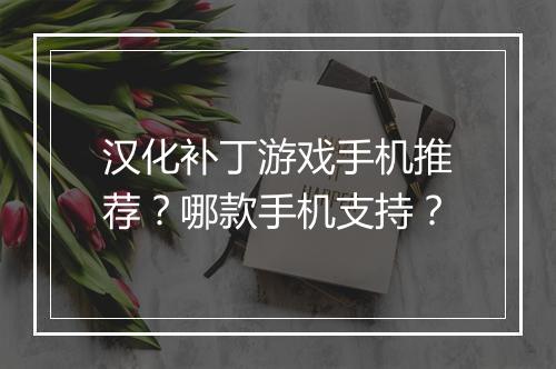 汉化补丁游戏手机推荐？哪款手机支持？