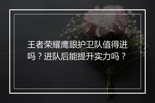 王者荣耀鹰眼护卫队值得进吗?进队后能提升实力吗?