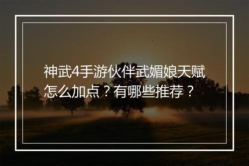 神武4手游伙伴武媚娘天赋怎么加点？有哪些推荐？