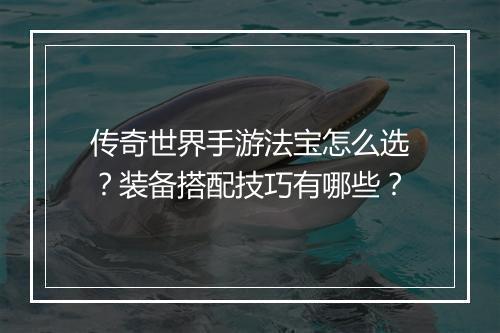 传奇世界手游法宝怎么选？装备搭配技巧有哪些？
