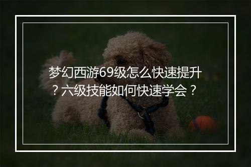 梦幻西游69级怎么快速提升？六级技能如何快速学会？
