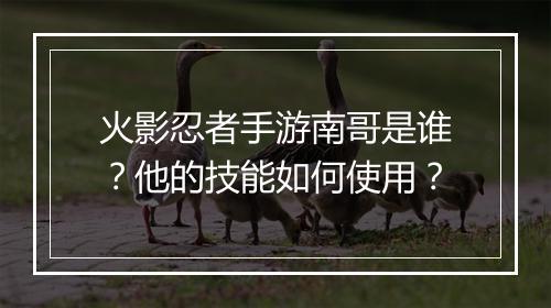 火影忍者手游南哥是谁？他的技能如何使用？