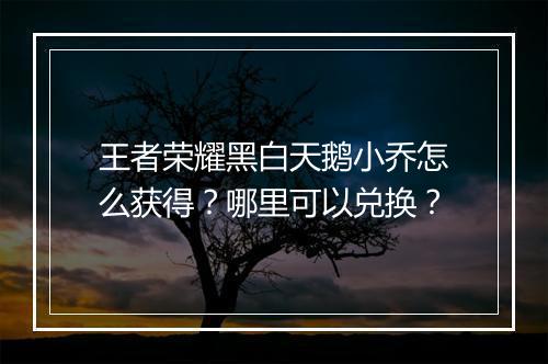 王者荣耀黑白天鹅小乔怎么获得？哪里可以兑换？