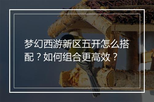梦幻西游新区五开怎么搭配？如何组合更高效？