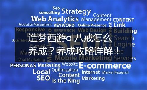 造梦西游ol八戒怎么养成？养成攻略详解！