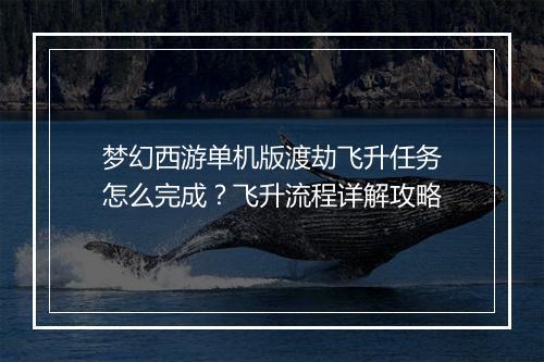 梦幻西游单机版渡劫飞升任务怎么完成？飞升流程详解攻略