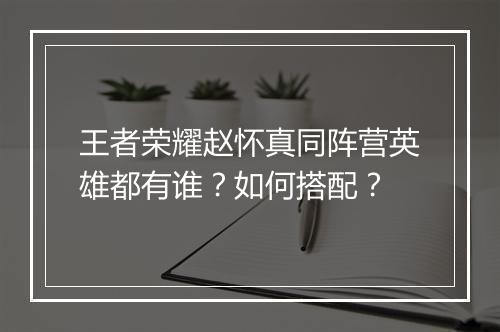 王者荣耀赵怀真同阵营英雄都有谁？如何搭配？