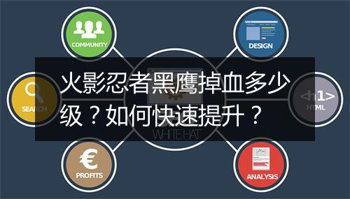 火影忍者黑鹰掉血多少级？如何快速提升？