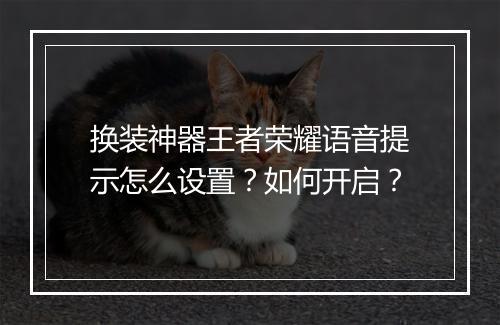 换装神器王者荣耀语音提示怎么设置？如何开启？