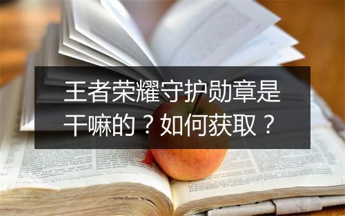 王者荣耀守护勋章是干嘛的？如何获取？