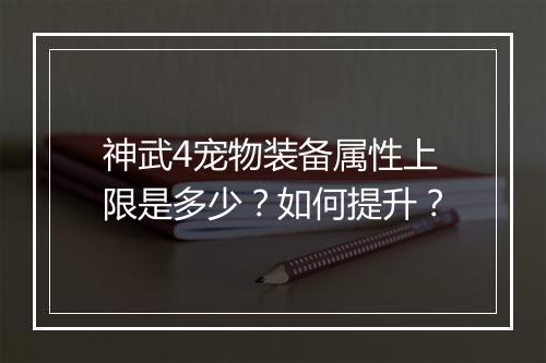 神武4宠物装备属性上限是多少？如何提升？