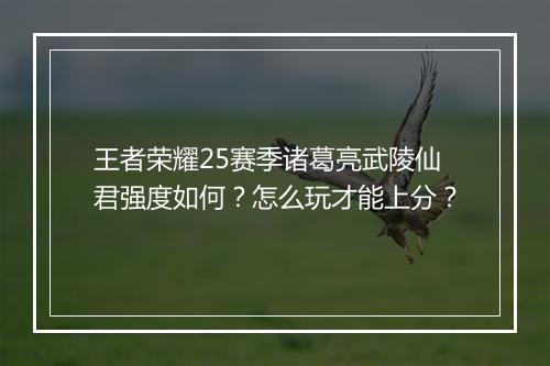 王者荣耀25赛季诸葛亮武陵仙君强度如何？怎么玩才能上分？