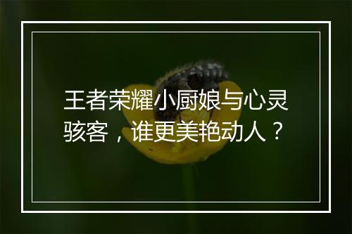 王者荣耀小厨娘与心灵骇客，谁更美艳动人？