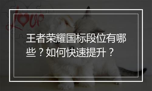 王者荣耀国标段位有哪些？如何快速提升？