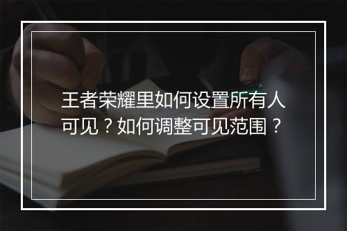 王者荣耀里如何设置所有人可见？如何调整可见范围？