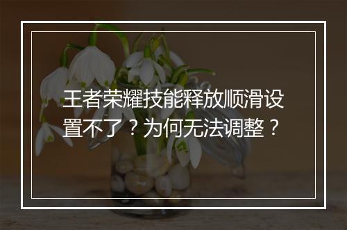 王者荣耀技能释放顺滑设置不了?为何无法调整?