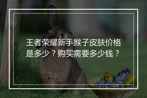 王者荣耀新手猴子皮肤价格是多少？购买需要多少钱？