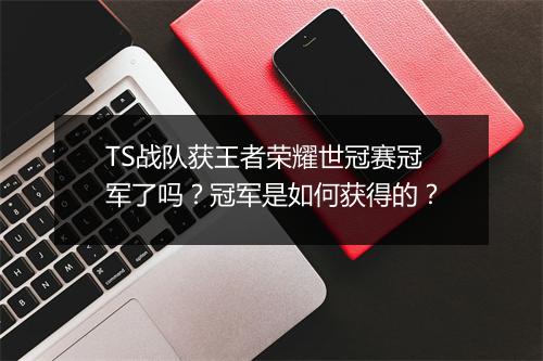 TS战队获王者荣耀世冠赛冠军了吗？冠军是如何获得的？