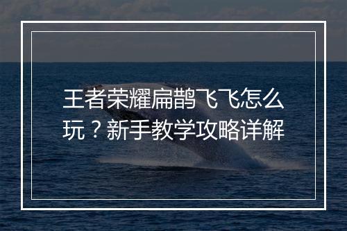 王者荣耀扁鹊飞飞怎么玩？新手教学攻略详解