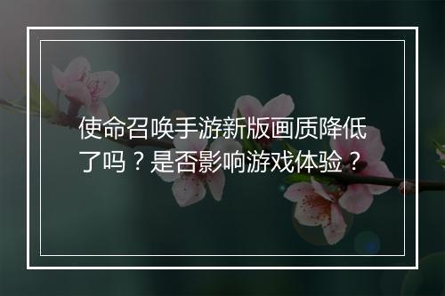 使命召唤手游新版画质降低了吗？是否影响游戏体验？