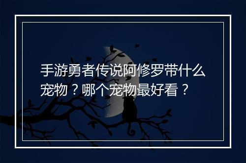 手游勇者传说阿修罗带什么宠物？哪个宠物最好看？