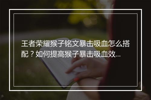 王者荣耀猴子铭文暴击吸血怎么搭配？如何提高猴子暴击吸血效果？