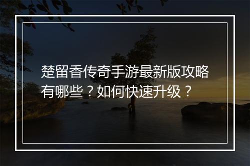 楚留香传奇手游最新版攻略有哪些？如何快速升级？