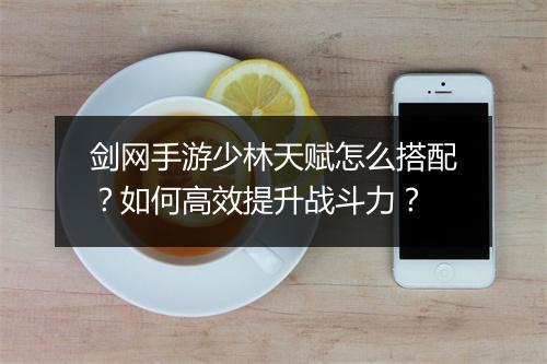 剑网手游少林天赋怎么搭配？如何高效提升战斗力？