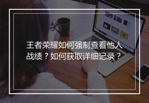 王者荣耀如何强制查看他人战绩?如何获取详细记录?