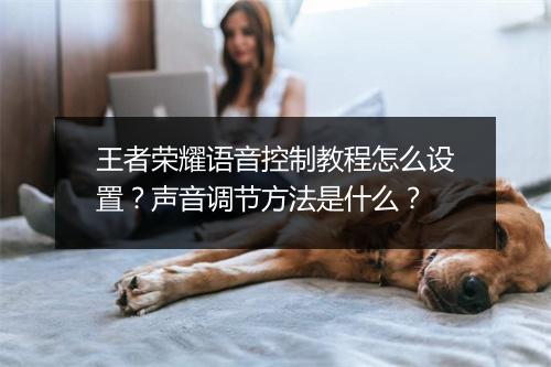 王者荣耀语音控制教程怎么设置？声音调节方法是什么？