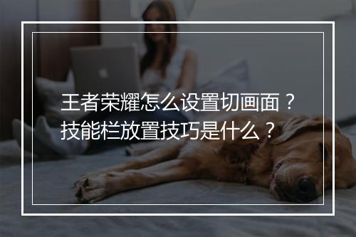 王者荣耀怎么设置切画面？技能栏放置技巧是什么？