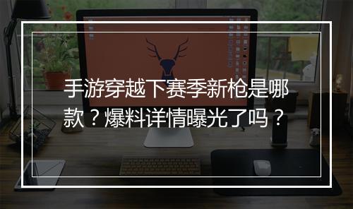 手游穿越下赛季新枪是哪款？爆料详情曝光了吗？