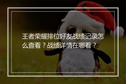 王者荣耀排位好友战绩记录怎么查看？战绩详情在哪看？