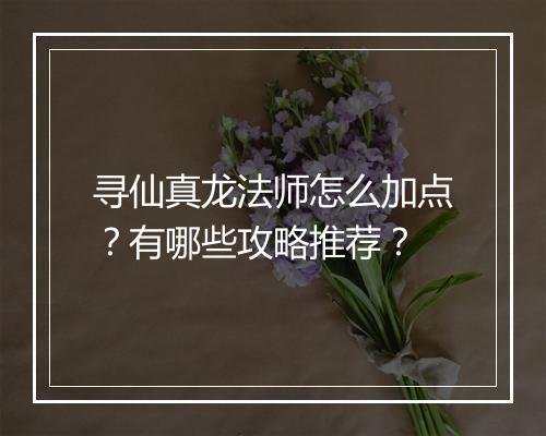 寻仙真龙法师怎么加点？有哪些攻略推荐？