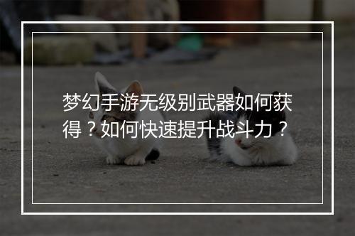 梦幻手游无级别武器如何获得？如何快速提升战斗力？
