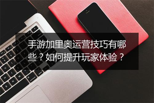 手游加里奥运营技巧有哪些？如何提升玩家体验？