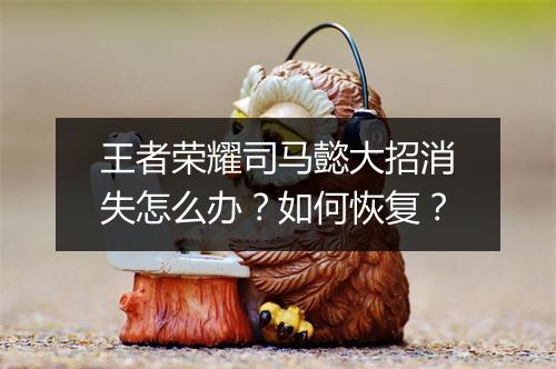 王者荣耀司马懿大招消失怎么办？如何恢复？