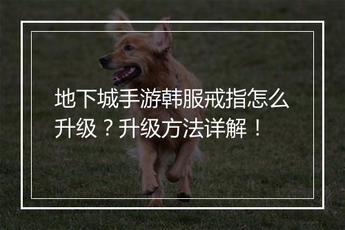 地下城手游韩服戒指怎么升级?升级方法详解!