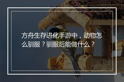 方舟生存进化手游中,动物怎么驯服?驯服后能做什么?