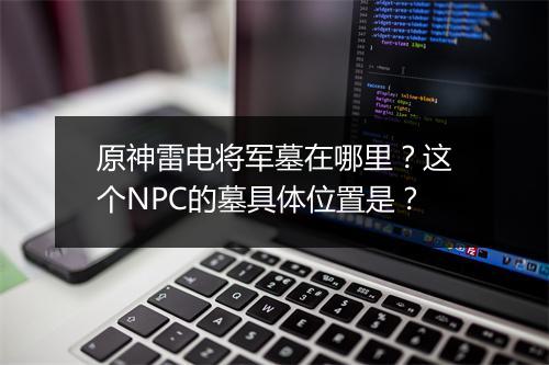 原神雷电将军墓在哪里？这个NPC的墓具体位置是？
