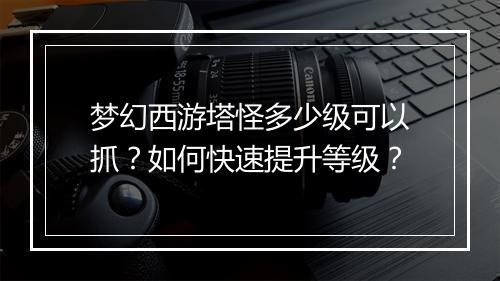 梦幻西游塔怪多少级可以抓？如何快速提升等级？