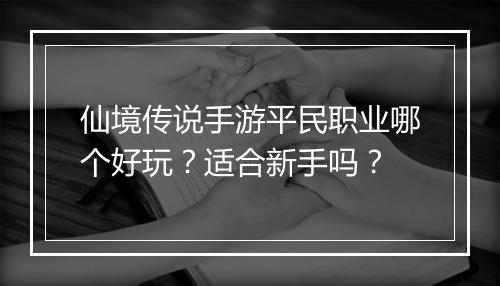 仙境传说手游平民职业哪个好玩？适合新手吗？