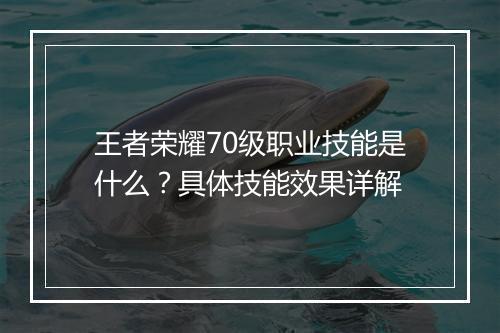 王者荣耀70级职业技能是什么？具体技能效果详解