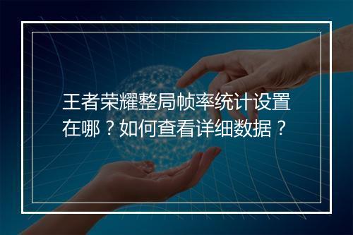 王者荣耀整局帧率统计设置在哪？如何查看详细数据？