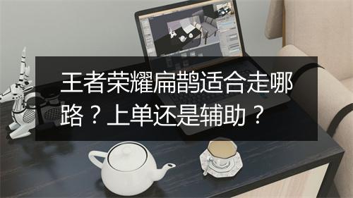王者荣耀扁鹊适合走哪路？上单还是辅助？
