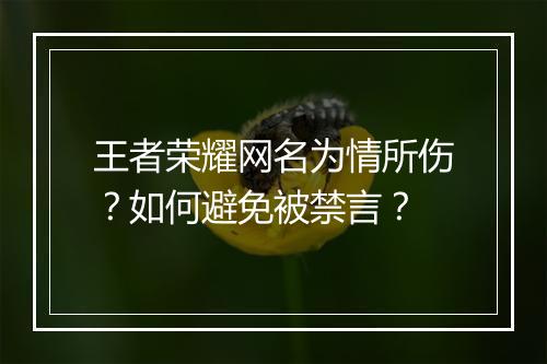 王者荣耀网名为情所伤？如何避免被禁言？