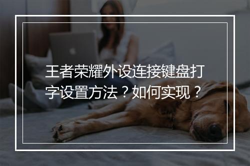 王者荣耀外设连接键盘打字设置方法？如何实现？